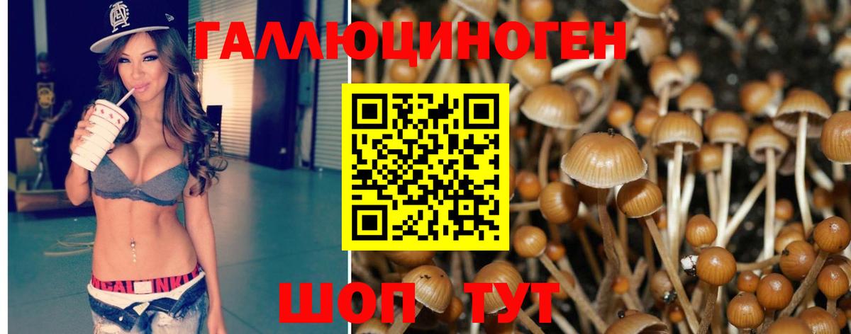 Псилоцибиновые грибы Psilocybine cubensis  Вход с VPN  купить   Псилоцибиновые грибы ЛСД  Зеленогорск 