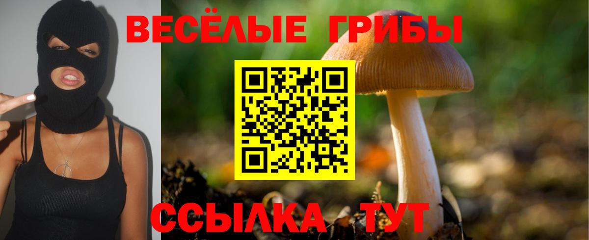 Псилоцибиновые грибы мицелий Зеленогорск